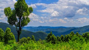 Preview wallpaper trees, bushes, grass, mountains, clouds, sky, landscape