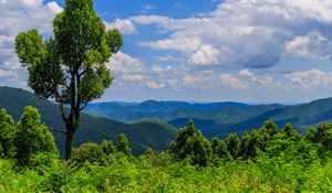 Preview wallpaper trees, bushes, grass, mountains, clouds, sky, landscape