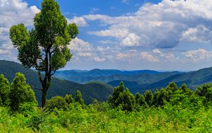 Preview wallpaper trees, bushes, grass, mountains, clouds, sky, landscape