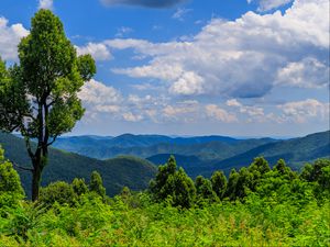 Preview wallpaper trees, bushes, grass, mountains, clouds, sky, landscape