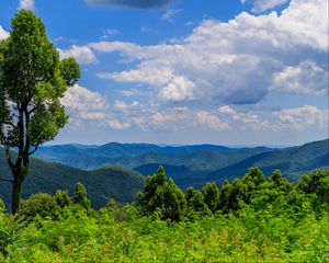 Preview wallpaper trees, bushes, grass, mountains, clouds, sky, landscape