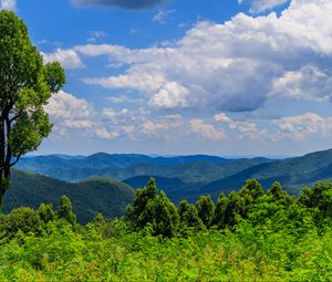 Preview wallpaper trees, bushes, grass, mountains, clouds, sky, landscape