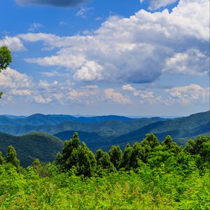 Preview wallpaper trees, bushes, grass, mountains, clouds, sky, landscape