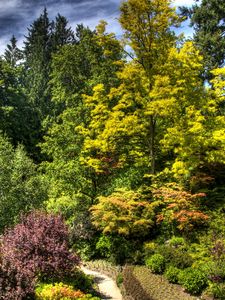 Preview wallpaper trees, bushes, green, brightly