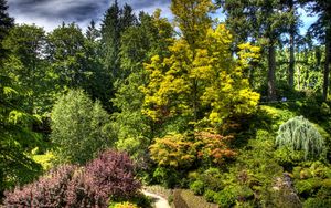 Preview wallpaper trees, bushes, green, brightly