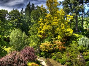 Preview wallpaper trees, bushes, green, brightly