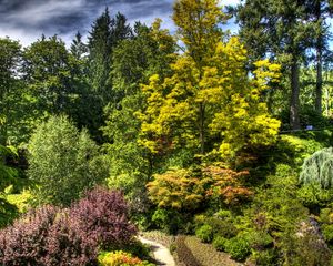 Preview wallpaper trees, bushes, green, brightly