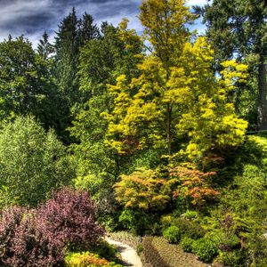 Preview wallpaper trees, bushes, green, brightly