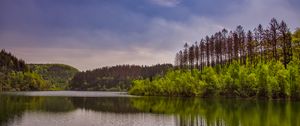 Preview wallpaper trees, bushes, lake, reflection, sky, clouds