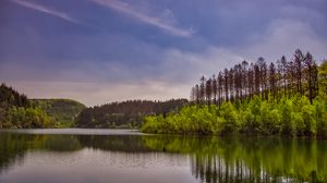 Preview wallpaper trees, bushes, lake, reflection, sky, clouds