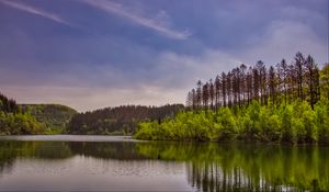 Preview wallpaper trees, bushes, lake, reflection, sky, clouds