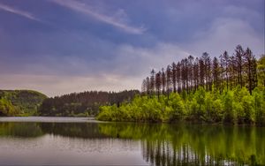 Preview wallpaper trees, bushes, lake, reflection, sky, clouds