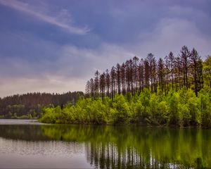 Preview wallpaper trees, bushes, lake, reflection, sky, clouds