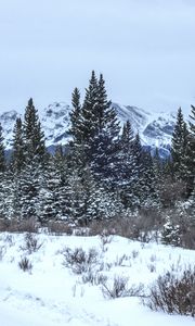 Preview wallpaper trees, bushes, mountains, snow, winter, nature