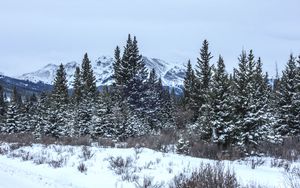 Preview wallpaper trees, bushes, mountains, snow, winter, nature