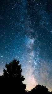 Preview wallpaper trees, bushes, nebula, stars, starry sky