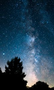 Preview wallpaper trees, bushes, nebula, stars, starry sky