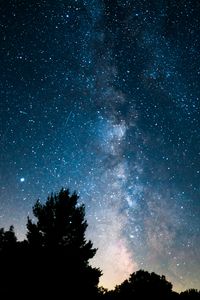 Preview wallpaper trees, bushes, nebula, stars, starry sky
