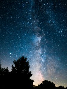 Preview wallpaper trees, bushes, nebula, stars, starry sky