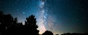 Preview wallpaper trees, bushes, nebula, stars, starry sky