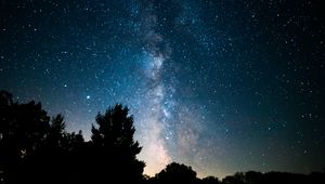 Preview wallpaper trees, bushes, nebula, stars, starry sky