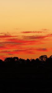 Preview wallpaper trees, bushes, silhouette, sunset