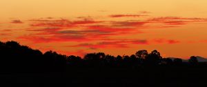 Preview wallpaper trees, bushes, silhouette, sunset