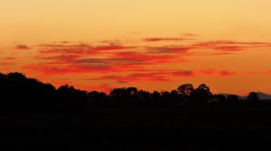 Preview wallpaper trees, bushes, silhouette, sunset