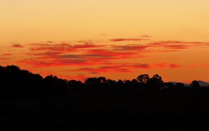 Preview wallpaper trees, bushes, silhouette, sunset