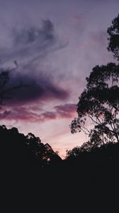 Preview wallpaper trees, bushes, silhouette, sunset, sky