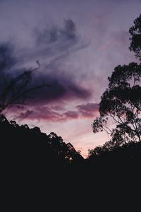 Preview wallpaper trees, bushes, silhouette, sunset, sky