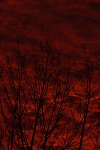 Preview wallpaper trees, bushes, sky, red