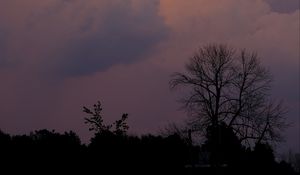 Preview wallpaper trees, bushes, sky, dusk