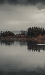 Preview wallpaper trees, bushes, water, reflection