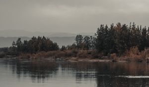 Preview wallpaper trees, bushes, water, reflection