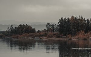 Preview wallpaper trees, bushes, water, reflection