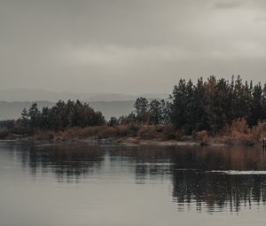 Preview wallpaper trees, bushes, water, reflection