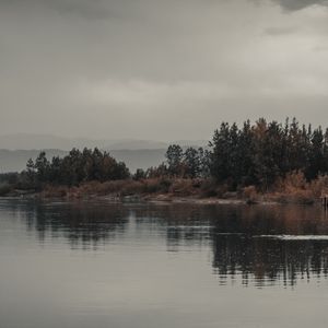 Preview wallpaper trees, bushes, water, reflection