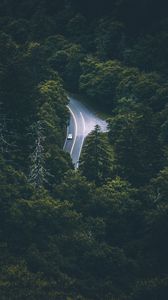 Preview wallpaper trees, car, road, aerial view, movement