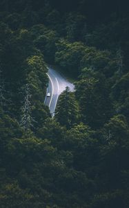 Preview wallpaper trees, car, road, aerial view, movement
