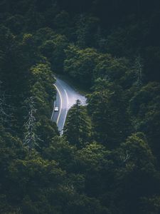 Preview wallpaper trees, car, road, aerial view, movement
