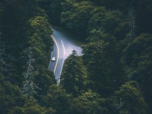 Preview wallpaper trees, car, road, aerial view, movement