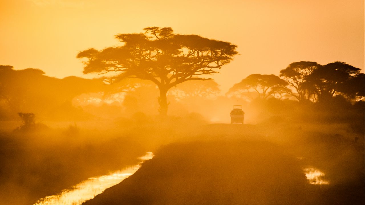 Wallpaper trees, car, road, fog, savannah, sunset, light