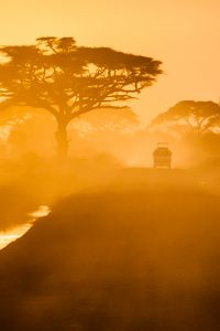 Preview wallpaper trees, car, road, fog, savannah, sunset, light