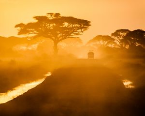 Preview wallpaper trees, car, road, fog, savannah, sunset, light