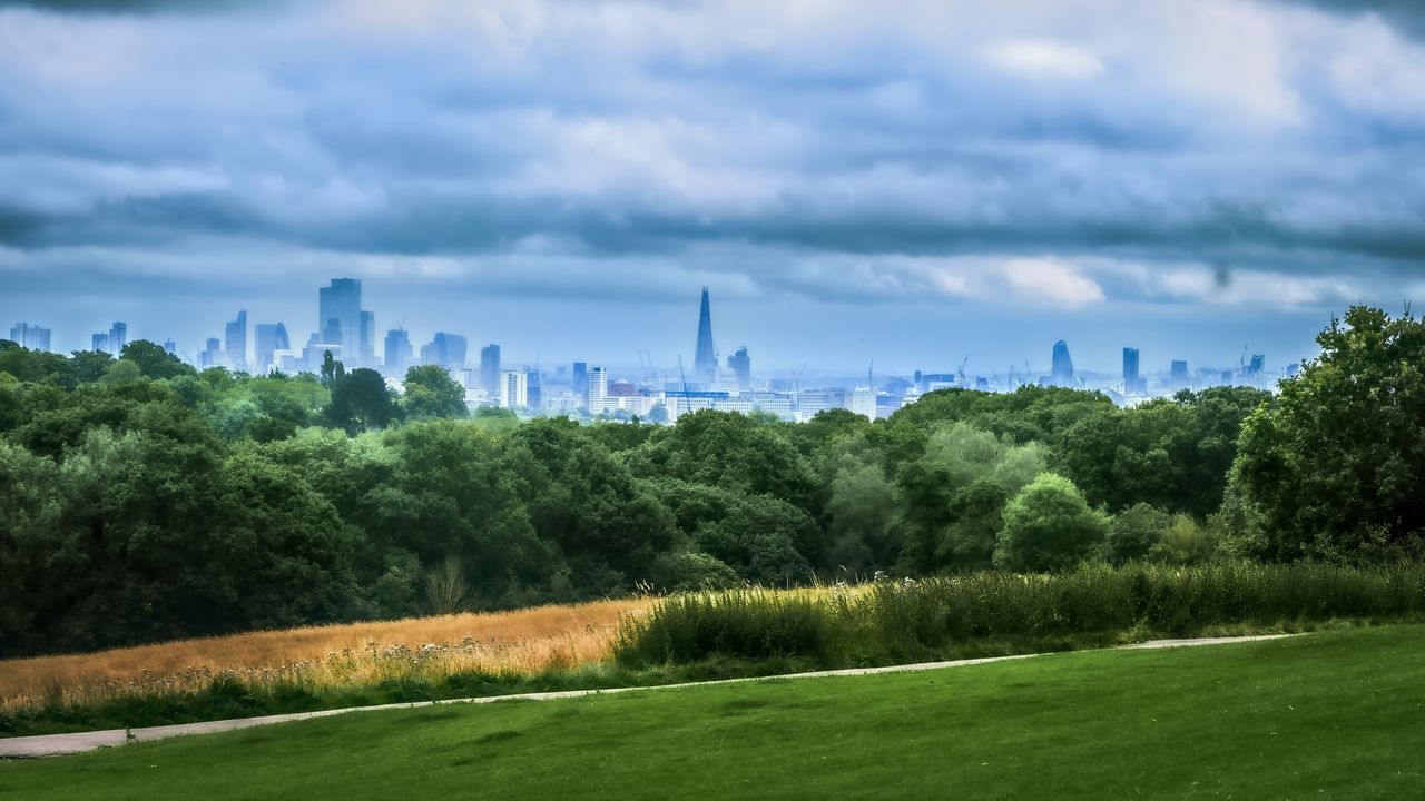 Wallpaper trees, city, buildings, meadow