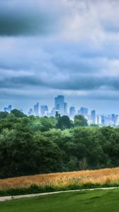 Preview wallpaper trees, city, buildings, meadow