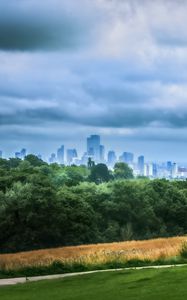 Preview wallpaper trees, city, buildings, meadow