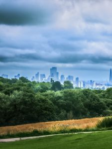 Preview wallpaper trees, city, buildings, meadow