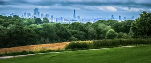 Preview wallpaper trees, city, buildings, meadow